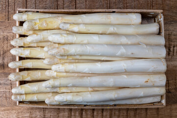 Fototapeta na wymiar New harvest of ripe white asparagus vegetables ready to cook