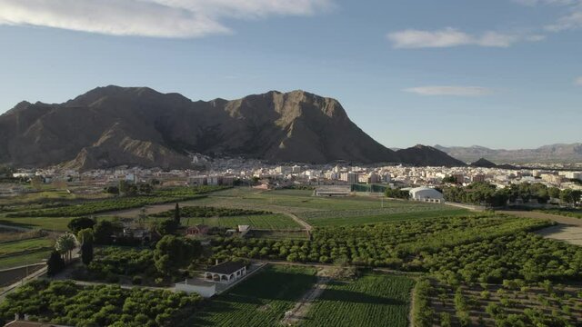 Aerial shot Callosa de Segura town and farmlands. Drone point of view spanish village located in foothills of huge Sierra de Callosa rocky mountain. North-west of Orihuela. Province of Alicante. Spain