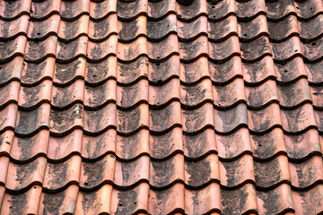 Terracotta roof made of old clay tiles.