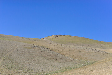 Stone Desert on the West Bank. Judean Desert in clear weather. White sand dunes and blue sky. Stony desert in the spring, green grass. Sand Hills of Judean Mountain, Israel. 