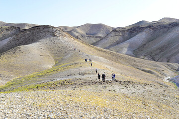 Group of tourists hiking, travelers on a trail in an Israeli desert mountains. Backpackers tourists...
