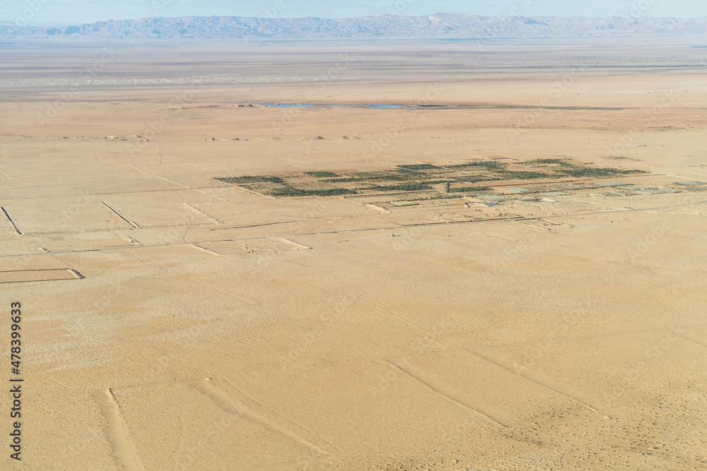 Wall mural Aerial view of the desert, tozeur and its palm grove- western Tunisia - Tunisia