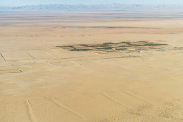 Aerial view of the desert, tozeur and its palm grove- western Tunisia - Tunisia