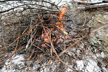 burning branches on fire, close-up as texture for background