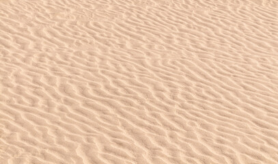 Fototapeta na wymiar Sand dune ripple marks lines pattern. Abstract sunny beach background photo.