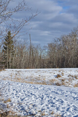 Pylypow Wetlands after a Snowfall