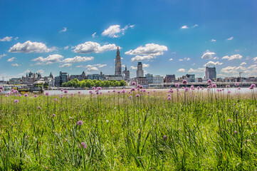 Landscape of Antwerp from the other site of the river Schelde (Linkeroever).