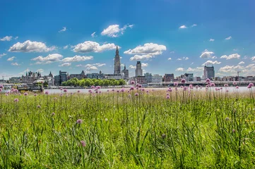 Gardinen Landscape of Antwerp from the other site of the river Schelde (Linkeroever). © Koen