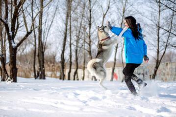 Fototapeta na wymiar Girl with a cute husky in a winter park. Dog playing in the snowy forest