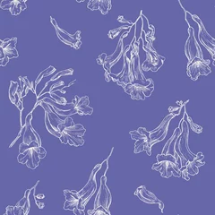 Wallpaper murals Very peri Outline beige flowers of Jacaranda on purple background. Hand drawn elements. Elegant floral vector seamless pattern for design packaging  textile wallpaper fabric