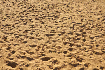 Footprints in the sand in the sun as a backdrop.