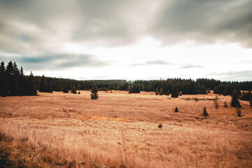 Fototapeta premium landscape