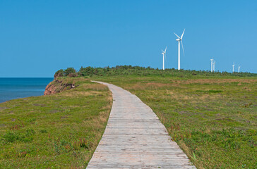 Fototapeta na wymiar Wind Farm Along a Coatal Boardwalk