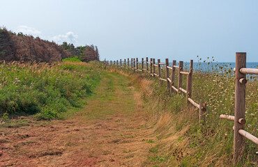 Hiking Trail Along a Coastal Cliff