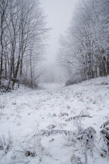 Obraz premium Winter zima
