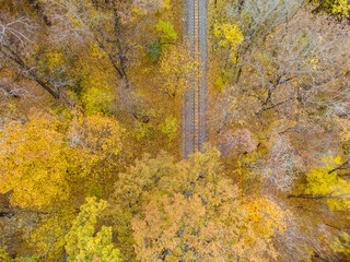 Above railway track line in vivid yellow autumn forest. Aerial treetop view on colorful Children's Southern Railway in Kharkiv, travel Ukraine