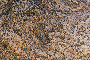 Fragment of texture of rock on the Black Sea coast with grains of sea salt. Photo in slight defocus, suitable as a background