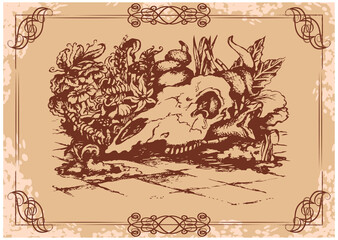 Skull of a cow with a snake, exotic flowers and paving stones. Drawing on old parchment. Sketch in a graceful vintage frame. Vector illustration