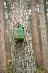 A bird house in a tree