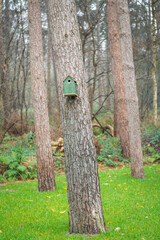 A bird house in a tree