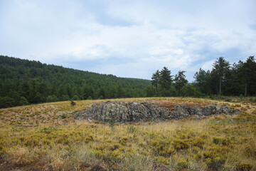 landscape with trees, Balıkesir