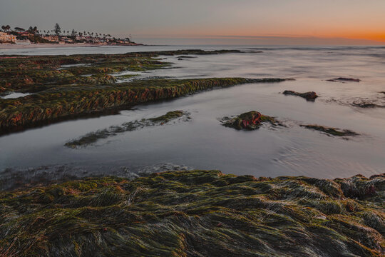 King Low Tide Tools At Sunset