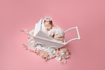 Newborn girl  on a pink background. Photoshoot for the newborn.  A portrait of a beautiful  
sleeping newborn baby girl