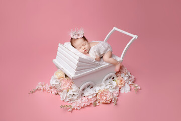 Newborn girl  on a pink background. Photoshoot for the newborn.  A portrait of a beautiful ...