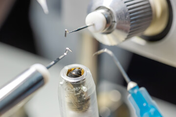 Step 1. Step by step instructions inserting drone sperm into uterine cavity. Artificial...
