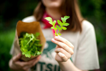 Young Modern Gardener Woman With Fresh Arugula On Garden.