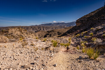 Marufo Vega Trail Heading Toward the Mexican Border