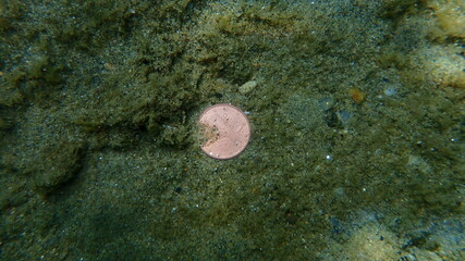 A Greek 1-euro cent coin on sea bottom, Aegean Sea, Greece, Halkidiki