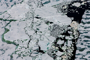 Pack Icie in Foxe Basin East of Melville Peninsula Nunavut