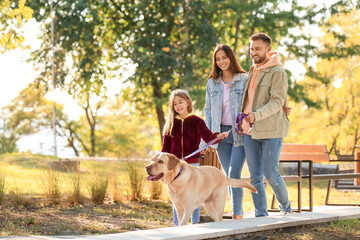 Happy family with Labrador dog walking in park
