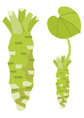 山葵　アウトラインなし