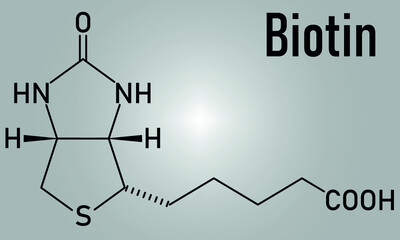 Biotin or vitamin B7 molecule. Skeletal formula.