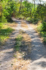 Dirt road on country side..