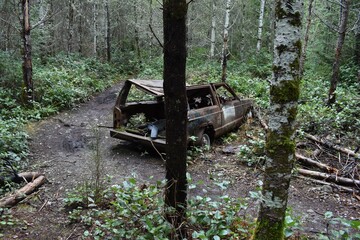 Abandoned car in the forest, covered in moss and bushes.