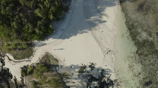 Aerial view of a person walking on the beach at Ile aux Cerfs, a small island along the coast, Mauritius.