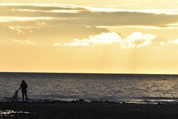 Fototapeta premium Golden cloudscape on the ocean at sunset. Woman with dog in foreground.