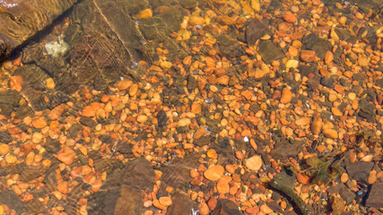 crystal clear water of the Paraná river