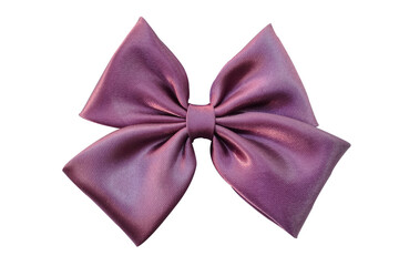 purple hair bow for important day  on a white background