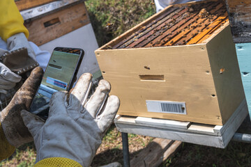 Gloved hands of a beekeeper reading a barcode with his cell phone on a honeycomb for use in an...