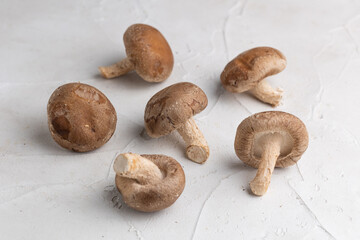 椎茸（しいたけ）