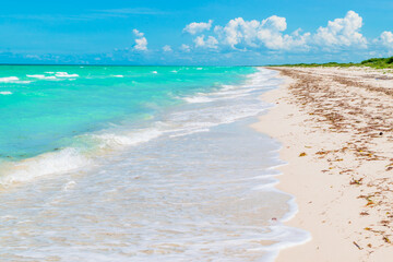 Beautiful turquoise beach landscape background in Mexico