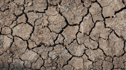 cracked brown dry soil texture