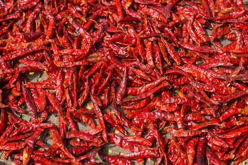Closeup dried chili at the farm