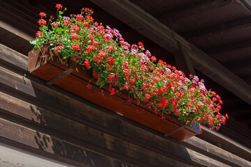 Fototapeta na wymiar Wooden balconies with red geranium flowers on the house in Austria or Germany