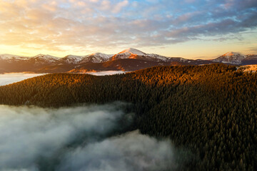 Aerial view of vibrant sunrise over Carpathian mountain hills covered with evergreen spruce forest in autumn.
