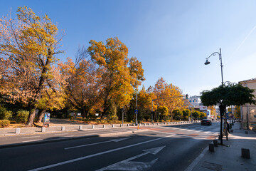 Bucharest, Romania 2021: Travel to Bucharest. Walking on the beautiful street Calea Victoriei next to the main landmarks of the city. Autumn view.